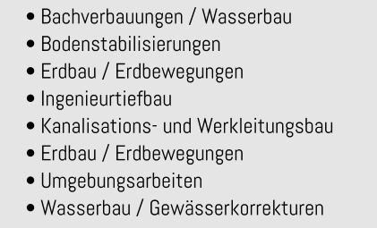 • Bachverbauungen / Wasserbau • Bodenstabilisierungen • Erdbau / Erdbewegungen • Ingenieurtiefbau • Kanalisations- und Werkleitungsbau • Erdbau / Erdbewegungen • Umgebungsarbeiten • Wasserbau / Gewässerkorrekturen